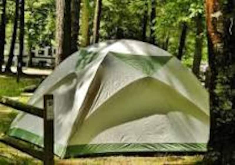 Yogi Bear™ Primitive Tent Site-1